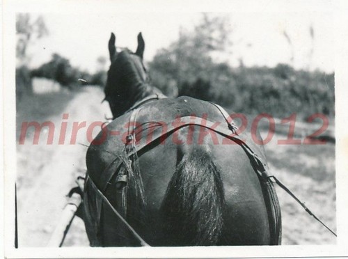 Photo ww2 front - ww2,,