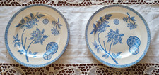 Jolie paire assiettes 19 ème