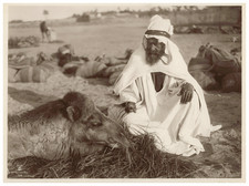 Lehnert & Landrock, Algérie