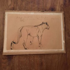 Dessin Ancien Animalier Fond