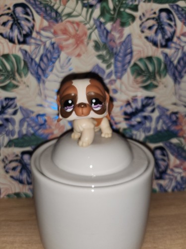 Littlest petshop saint - petshop,,