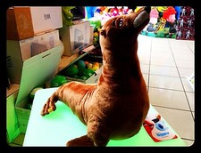 Peluche Original Disney