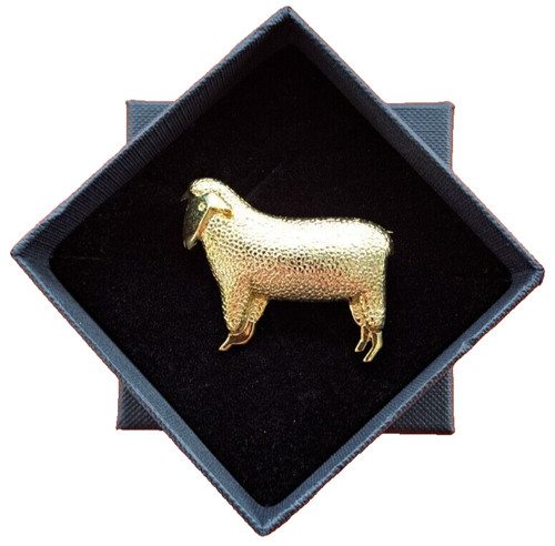 Broche mouton dans - une, boîte