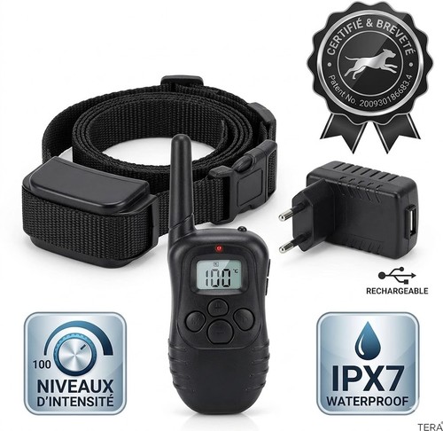 Collier dressage chien 300m - collier,