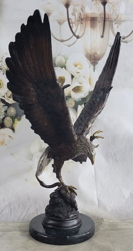 Aigle royal grande - aigle,