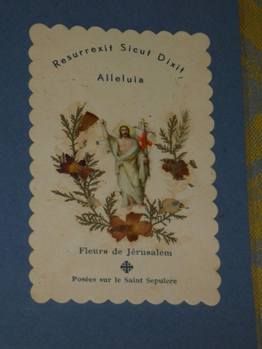 Image pieuse fleurs - , de