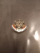 Broche ESF Insigne Flocon