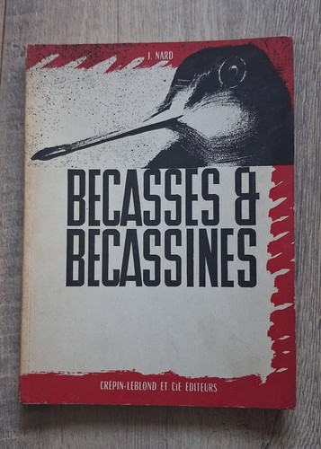 Bécasses bécassines - bécassines,
