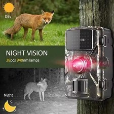Caméra de Chasse 1080P Vision Nocturne Infrarouge IP66 Étanche Détection