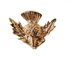Insigne petite épingle dorée
