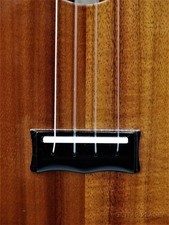 Island Ukulele [Settlement!!]