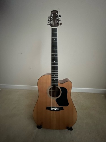 Walden semi acoustic guitar - acoustic,