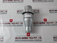 Prise Schneider Electric 63A