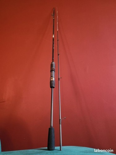 Canne pêche tenryu - canne, à