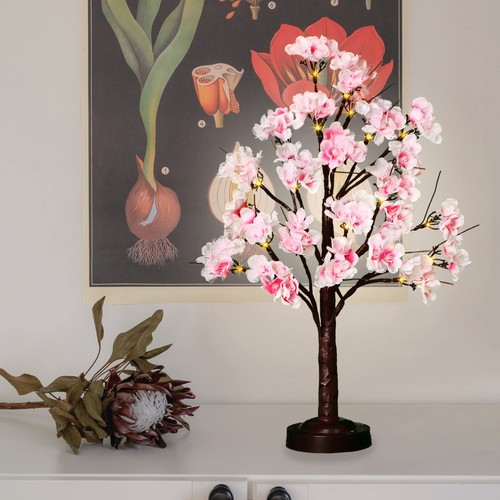 Fuchsun inch cherry blossom - 18,