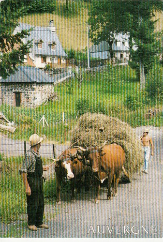 Puy dôme attelage - puy-de-dÔme, à