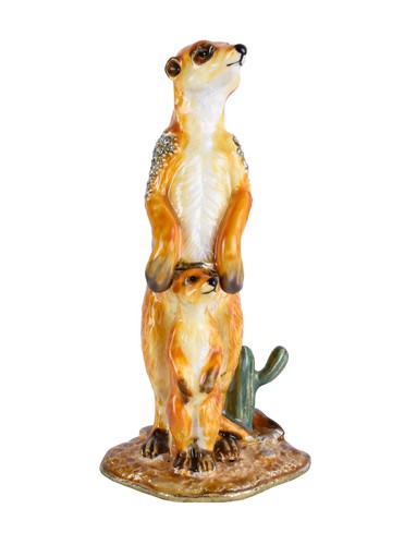 Boîte pilules suricate - boîte,