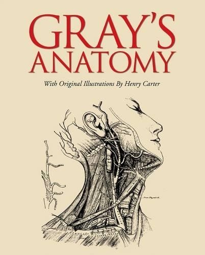 Henry gray anatomy - gray, gray's