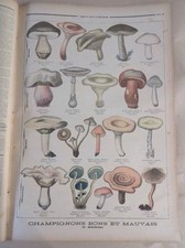 Le petit journal 1896 310