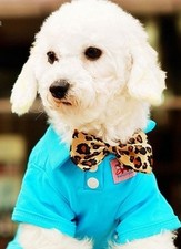 Vendeur FRANCAIS LOT de 3