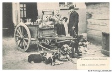 BU-BFP1-0043-BELGIQUE - Attelage de chiens flamand
