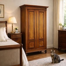 Armoire Ancienne Plaquée en