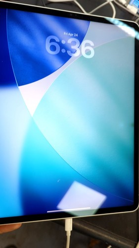 Apple ipad pro 256 go - ipad, 5