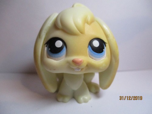 Petshop lapin belier - lapin, /
