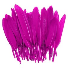 100 Plumes 4-6" pour Chapeau