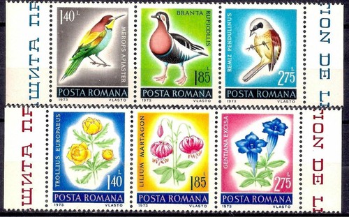 Roumanie 1973 oiseaux sauvages - oiseaux,