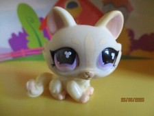 Petshop chat sphynx #848