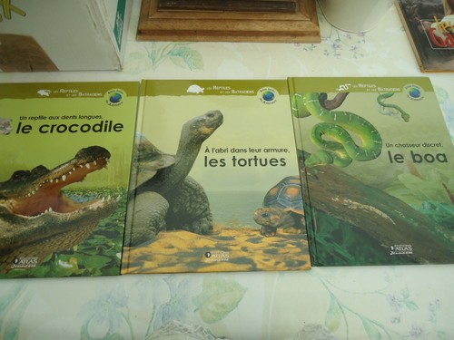 Atlas des juniors les - des,