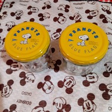 Bouteille en verre Snoopy