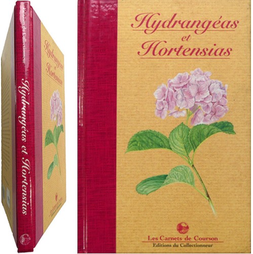 Hydrangéas hortensias 1998 - hortensias,