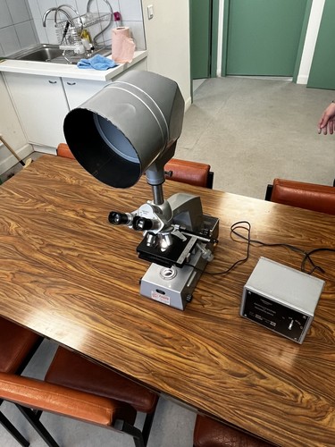 Microscope binoculaire - microscope,