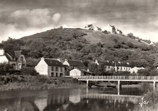 CPSM GF 29 - PONT DE BUIS