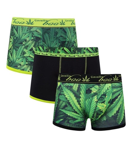 Caleçons hipster pour hommes - hipster,