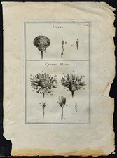 1719 - Bleuet & Iacea -