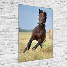 Tulup Tableau Sur Verre Trempé Image 70x100 - Cheval sur le terrain