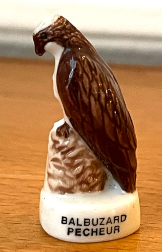 Fève oiseaux balbuzard - oiseaux,