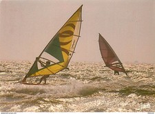 Sport - Planche à Voile - CPM