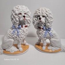 2 Grands Caniches Chiens