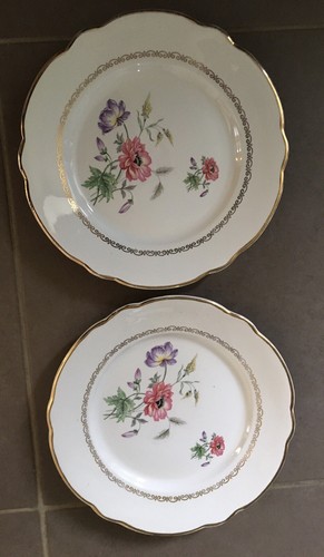 Assiettes anciennes plates - assiettes,