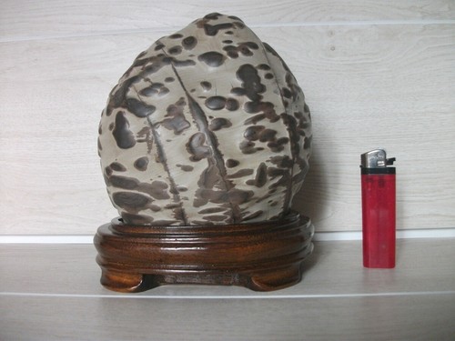Suiseki pierre naturelle - ,