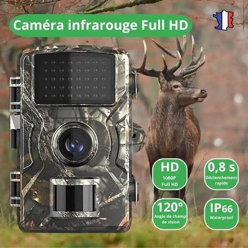 Caméra chasse full hd - caméra,