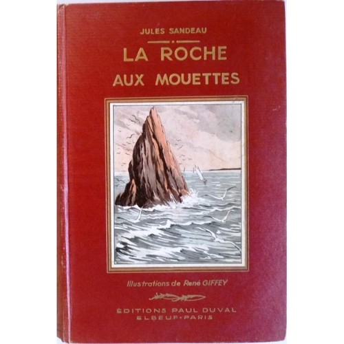 Roche aux mouettes - roche,