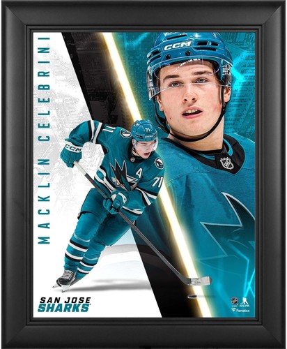 Macklin celebrini san jose - macklin,