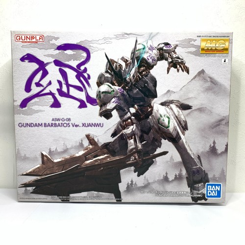 Bandai 100 asw g - mg, 1/100