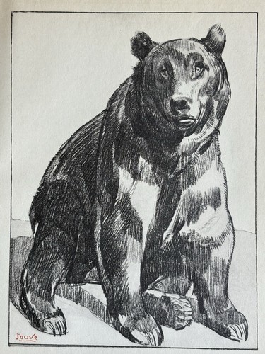 Paul jouve gravure animalière - paul,