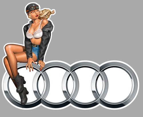 Audi left pin - up, gauche